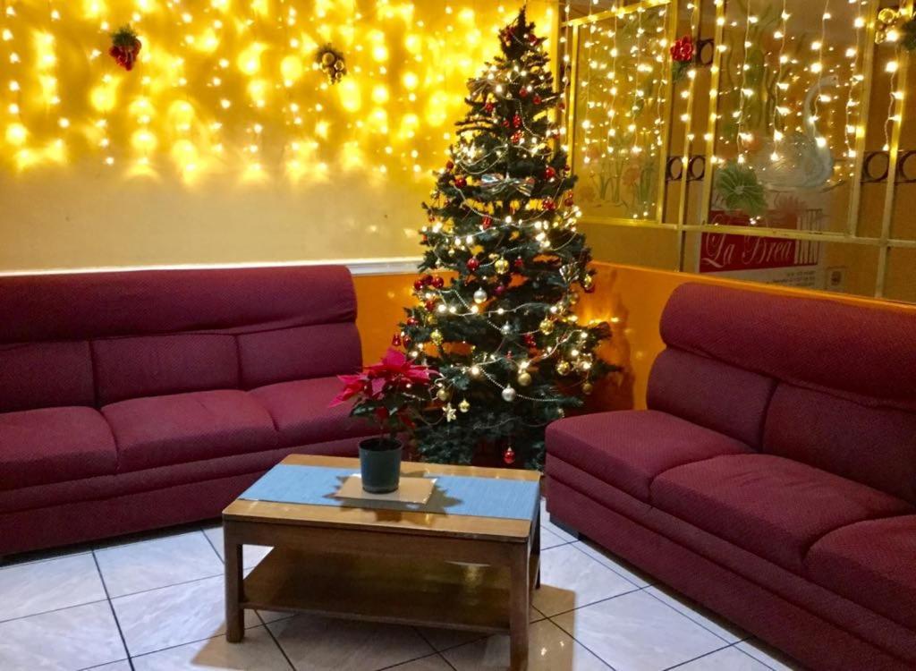 La Brea Inn Baguio City Dış mekan fotoğraf